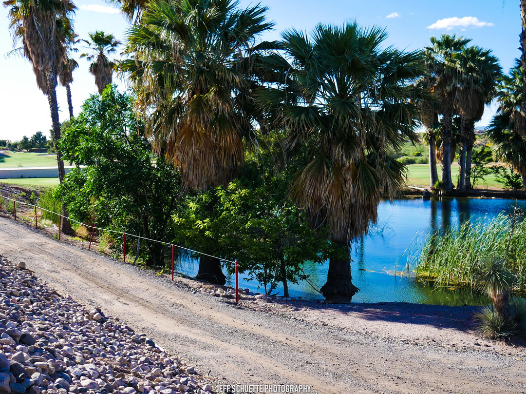 Wickenburg Golf Club景点图片