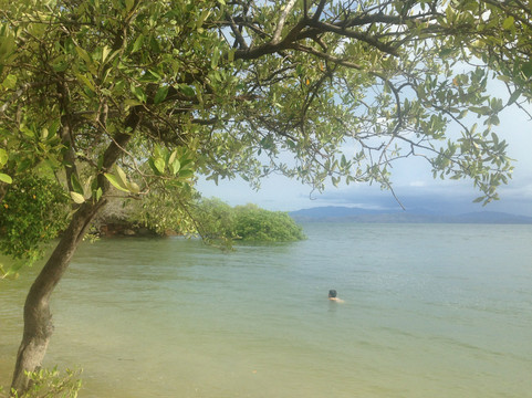 Mae Bicis-Costa de Pajaros必去景点