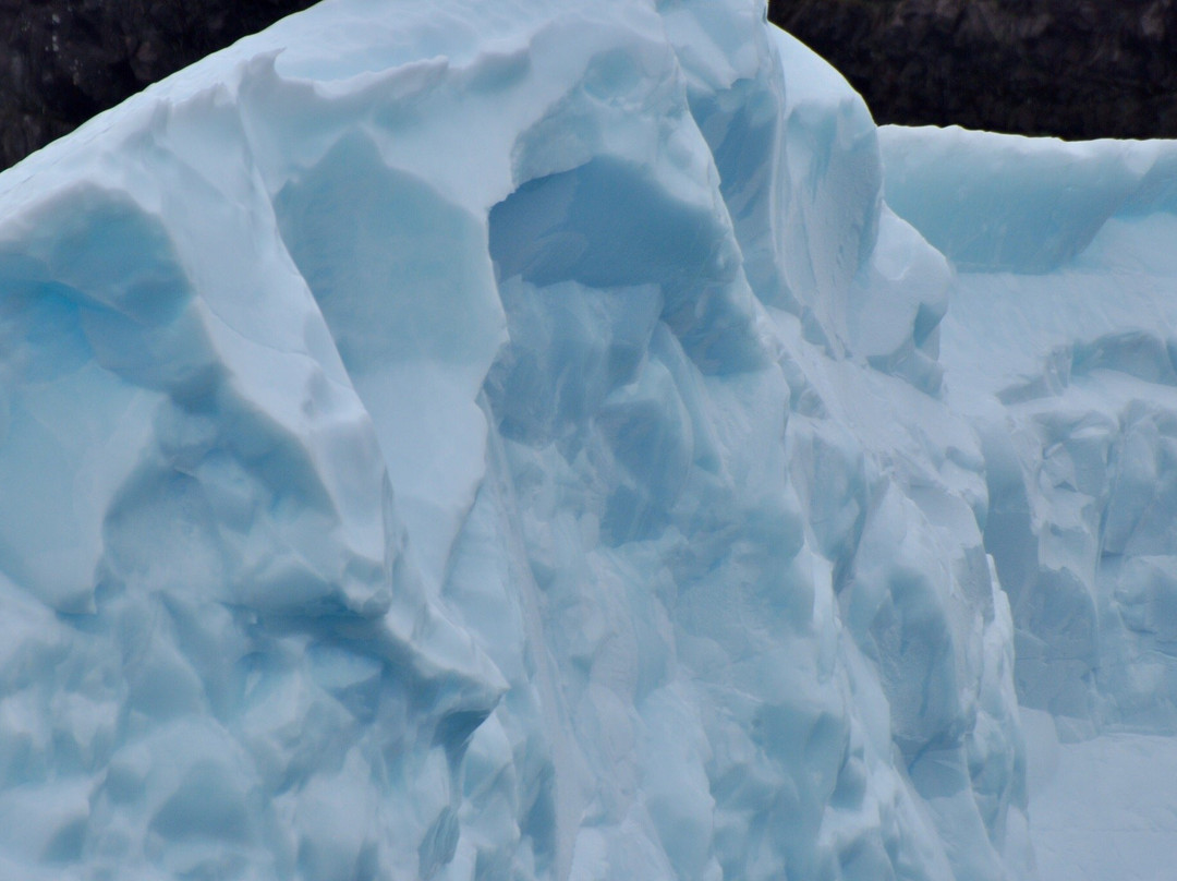 Iceberg Quest Ocean Tours景点图片