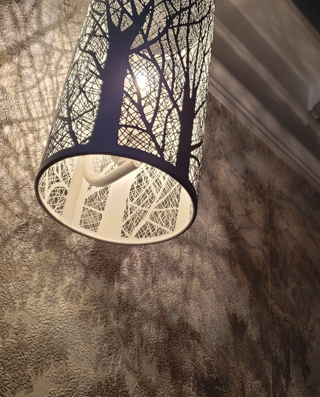 Forest House主图