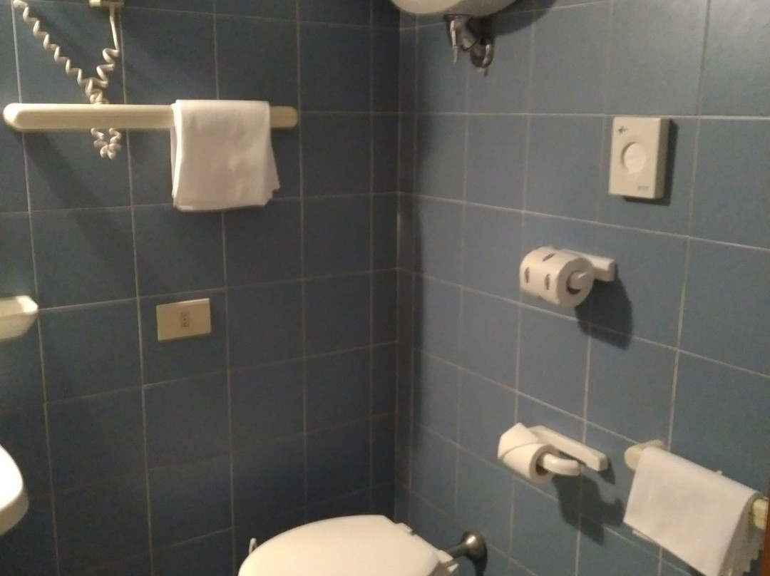 Hotel Anna Siena Nord主图