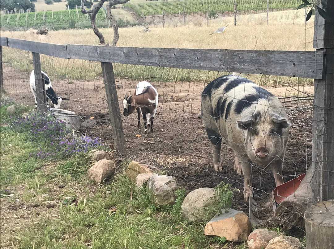 Soleluna Guest House主图