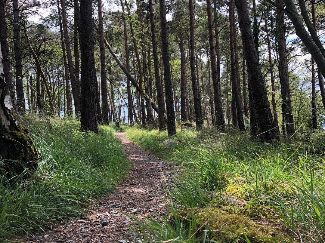 Portumna Forest Park-Portumna必去景点