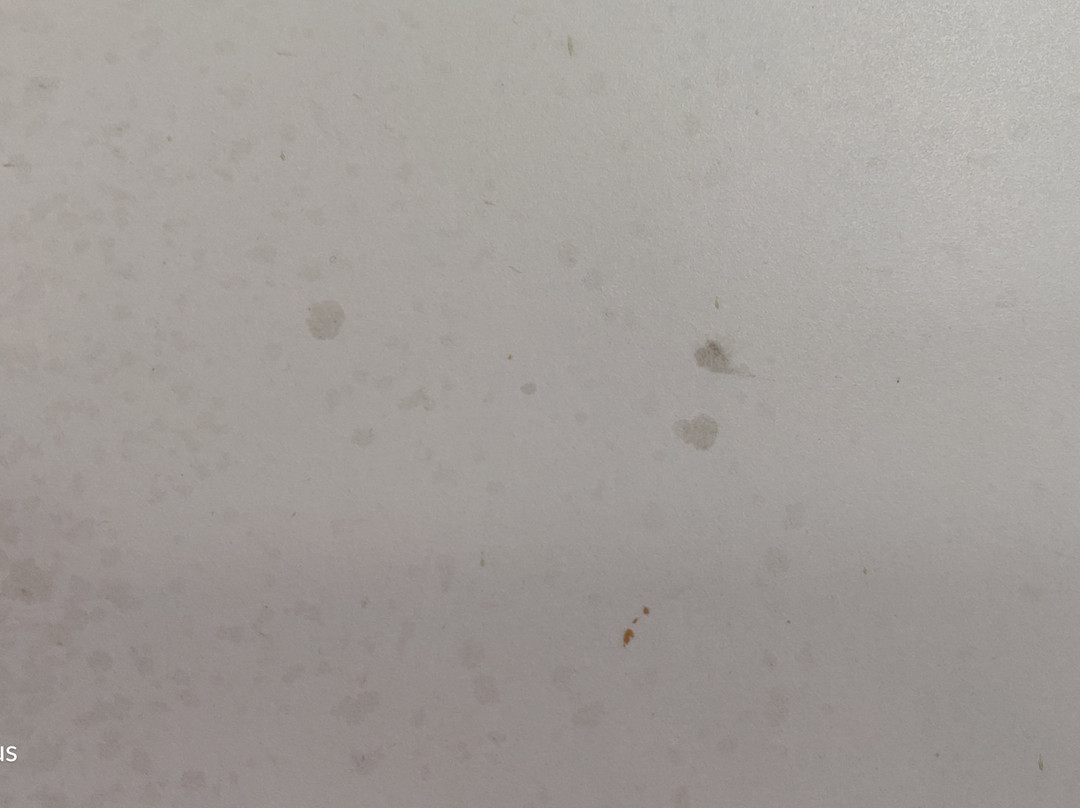 Fairvacanze Inns & Suites主图