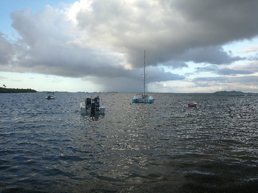 Kayaking Puerto Rico景点图片