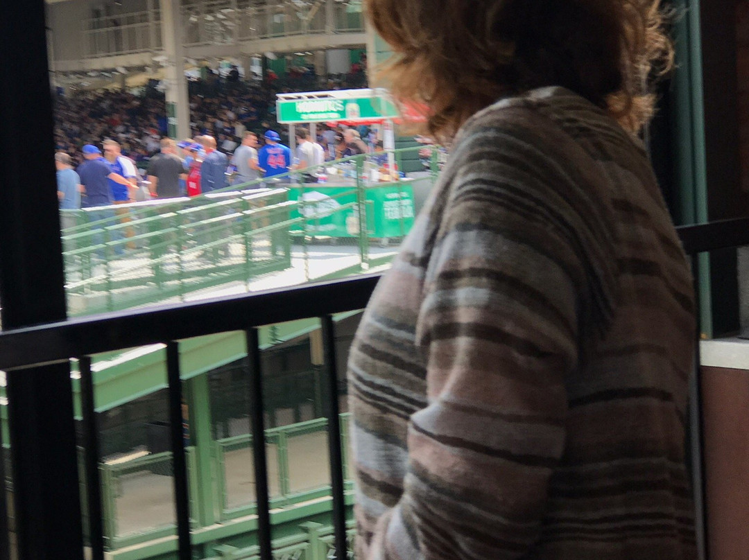 Wrigley Rooftops-芝加哥必去景点