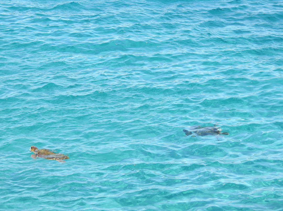 Mavromichalai Hotel主图