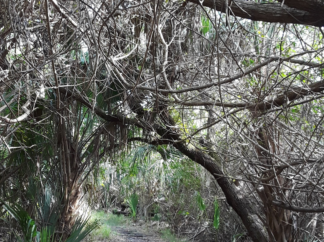 Charlotte Harbor Environmental Center-蓬塔戈尔达必去景点
