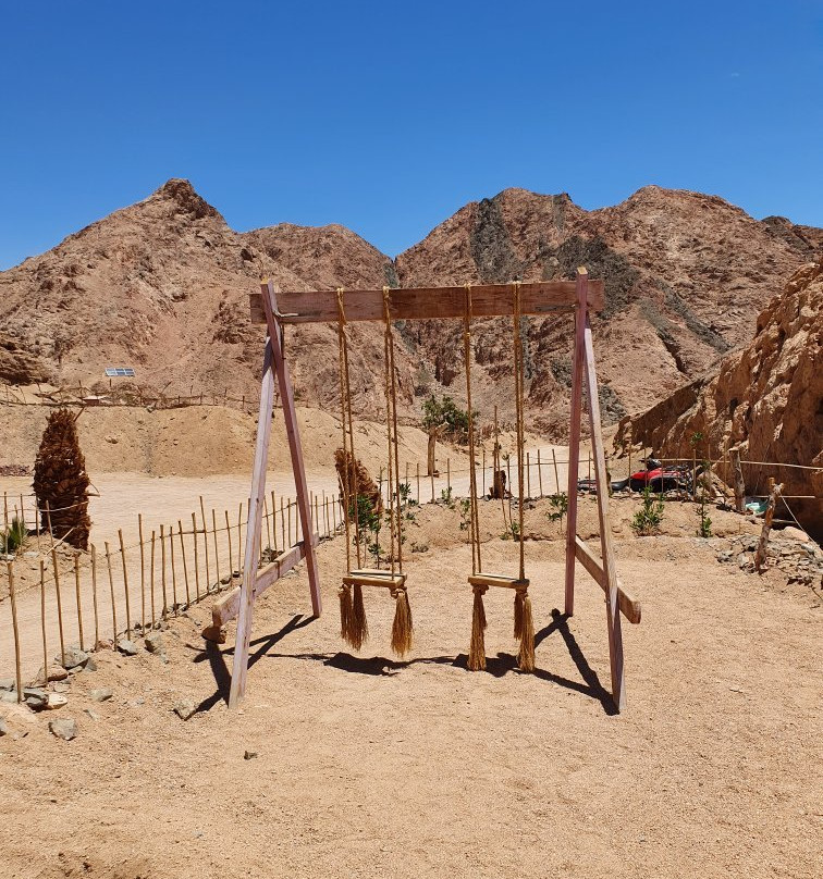 Sinai Safari Adventures景点图片