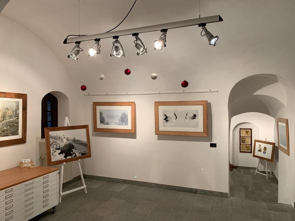 The Little Wild Gallery景点图片