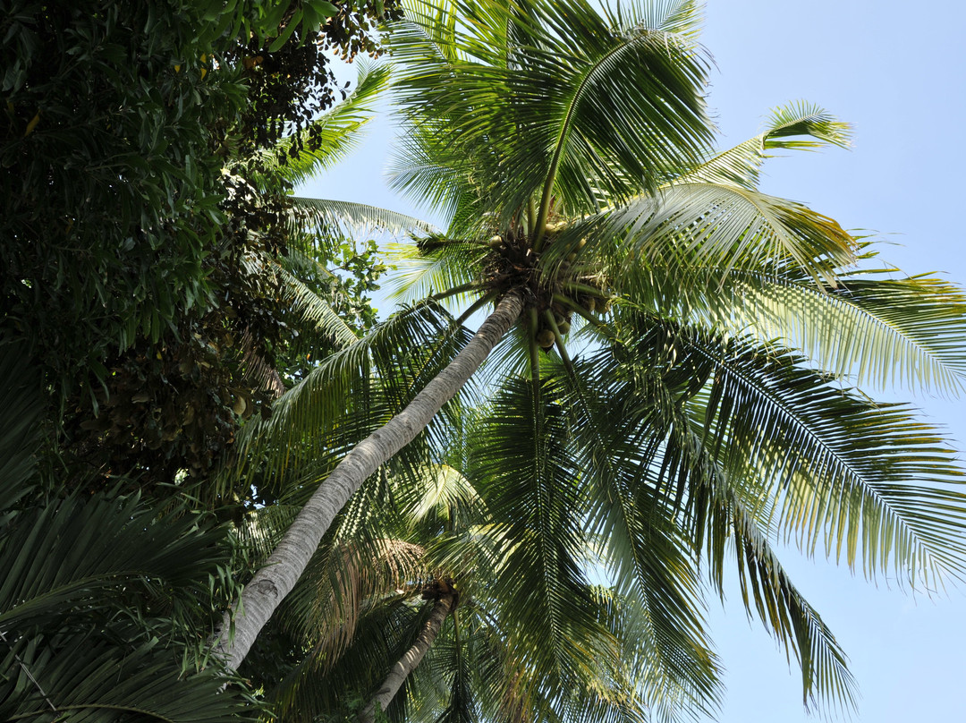 鹰角度假村主图