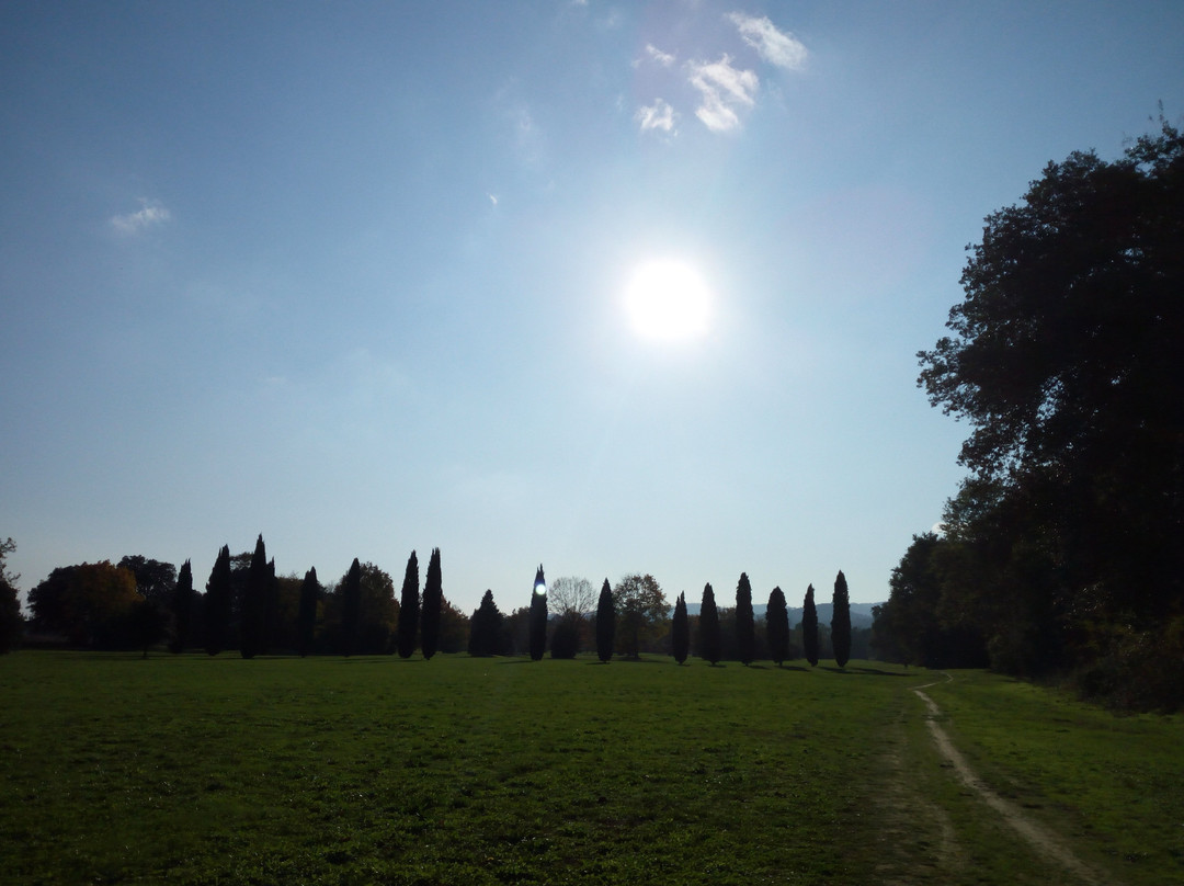 Parco delle Cascine di Tavola景点图片