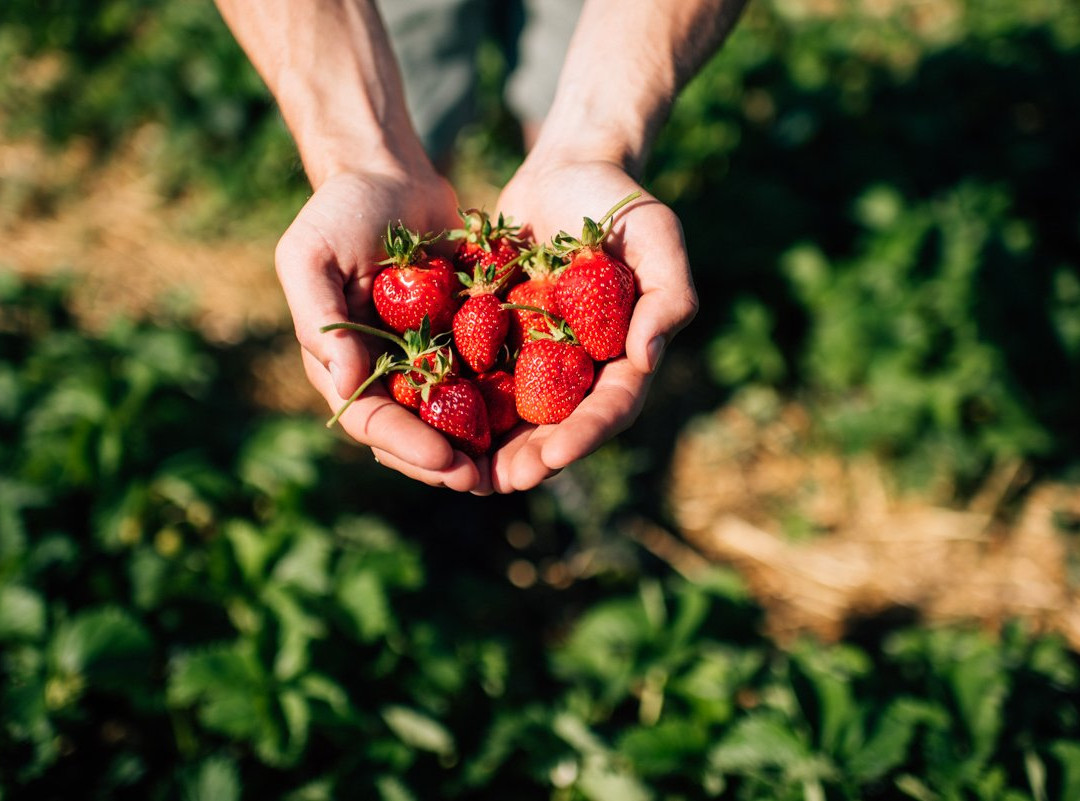 Ostratice旅游攻略图片