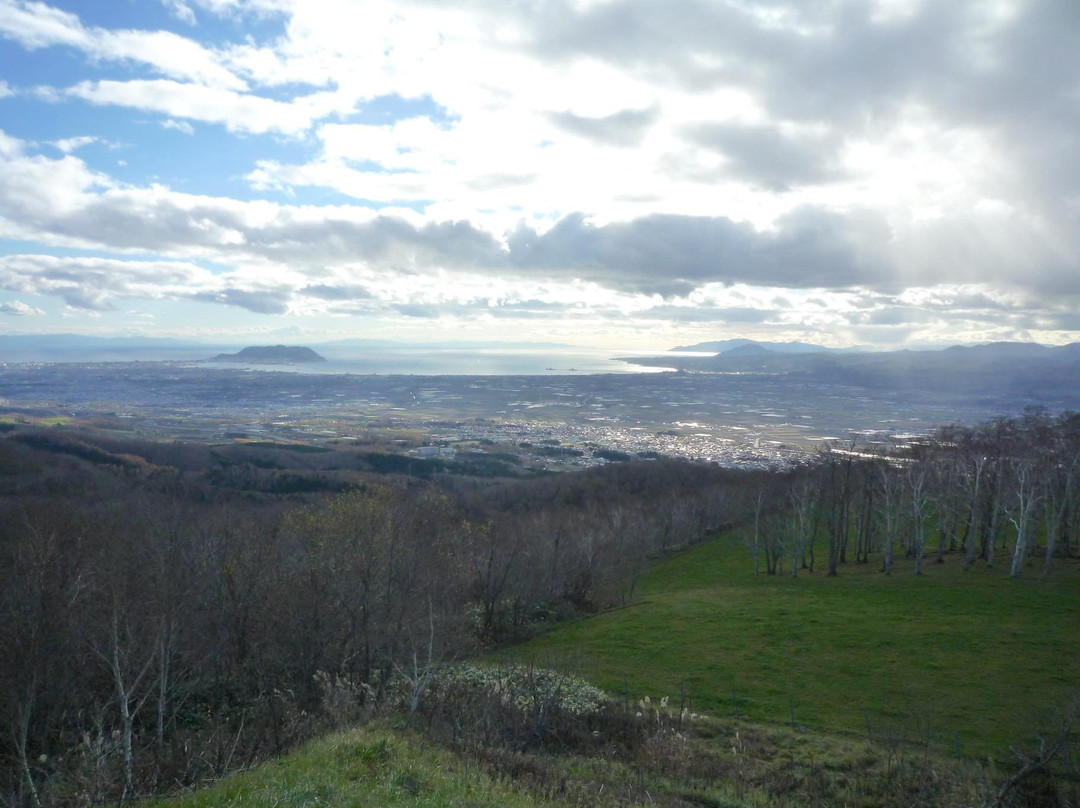 Shirotai Farm-七饭町必去景点