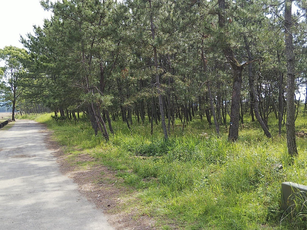 Tosa Seinan Daikibo Park Wampaku Hiroba-四万十市必去景点