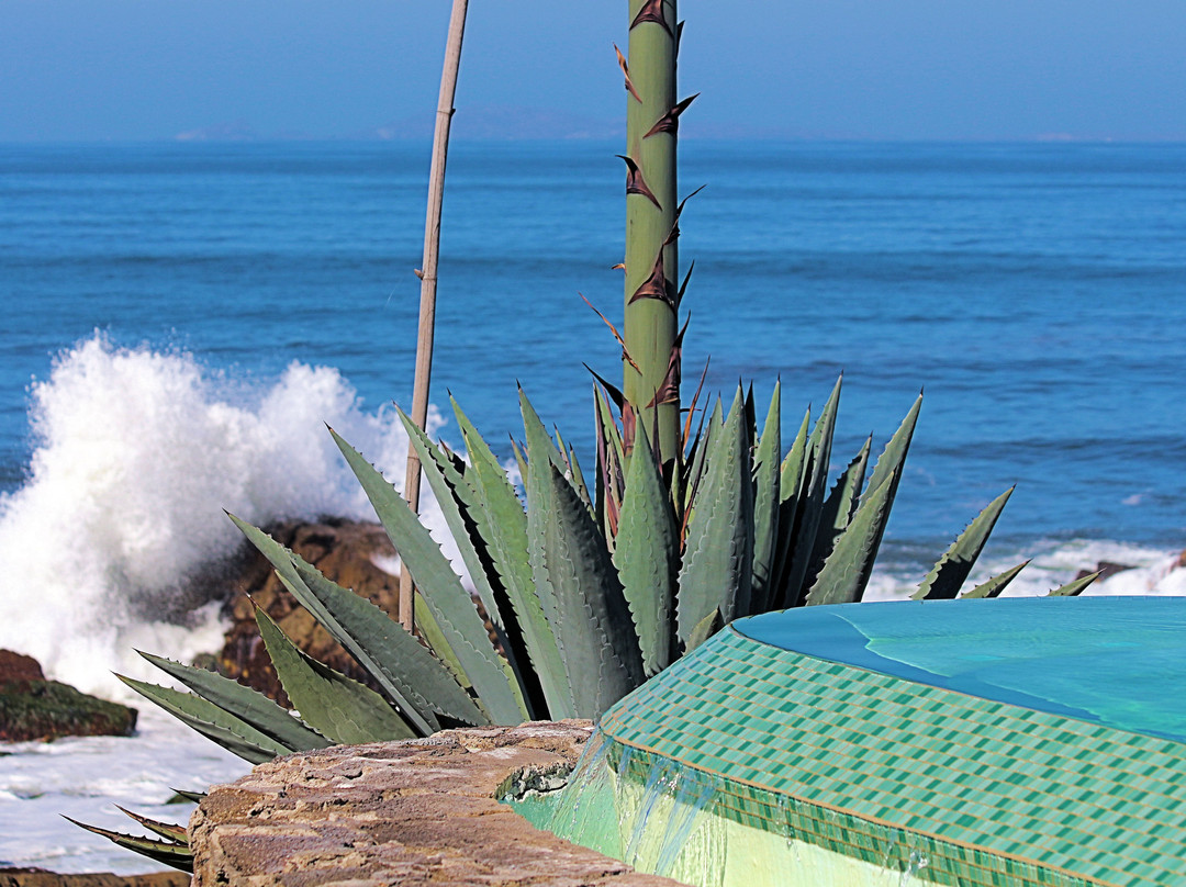 Las Rosas Hotel & Spa主图