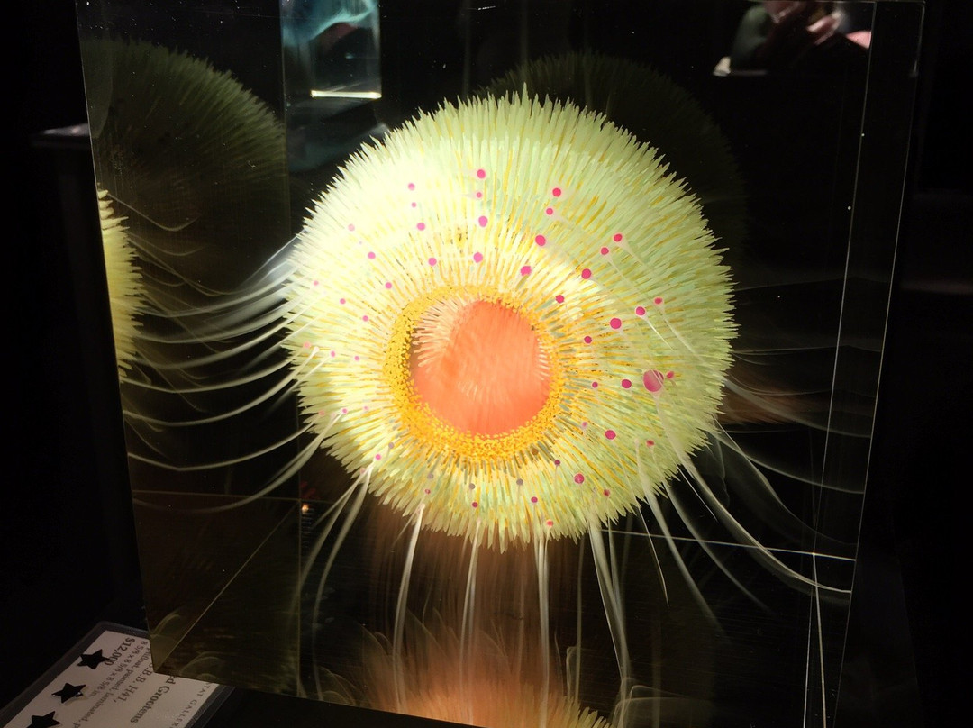 Habatat galleries-罗亚尔奥克必去景点