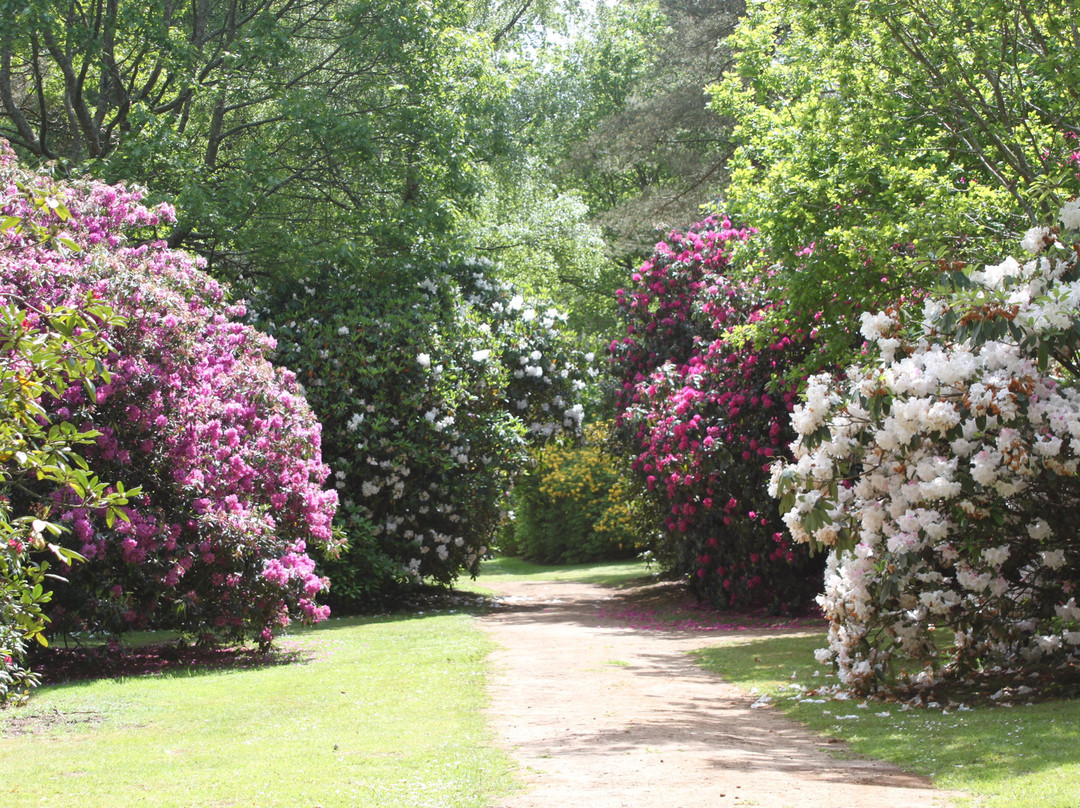 Bowood Woodland Garden-Calne必去景点