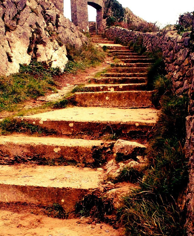 Barafundle Beach-Stackpole必去景点