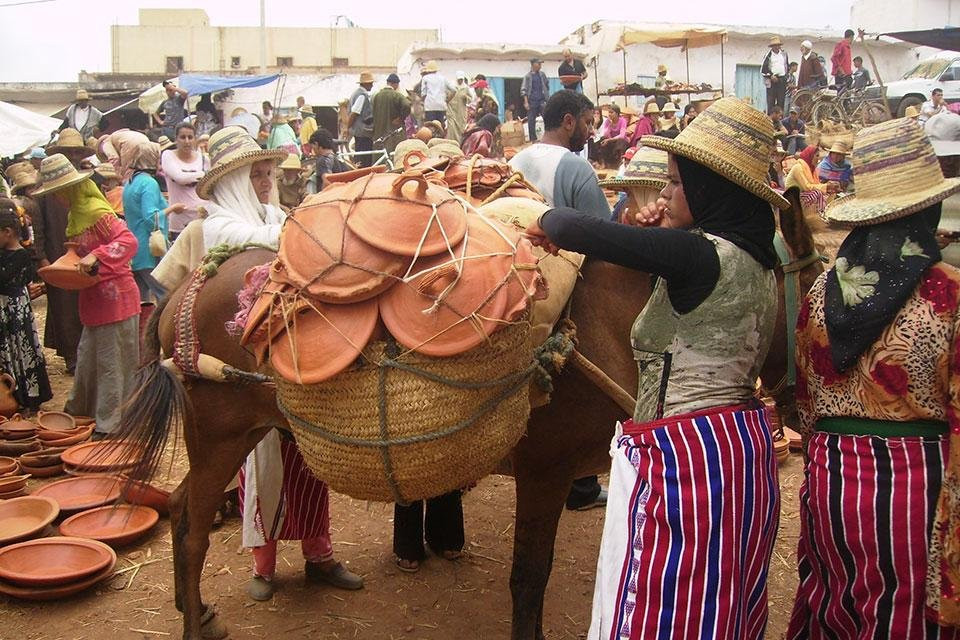 Taounate Ecotourism Discoveries-Taounate必去景点