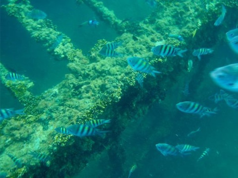 Bahia Principe Grand Cayacoa主图