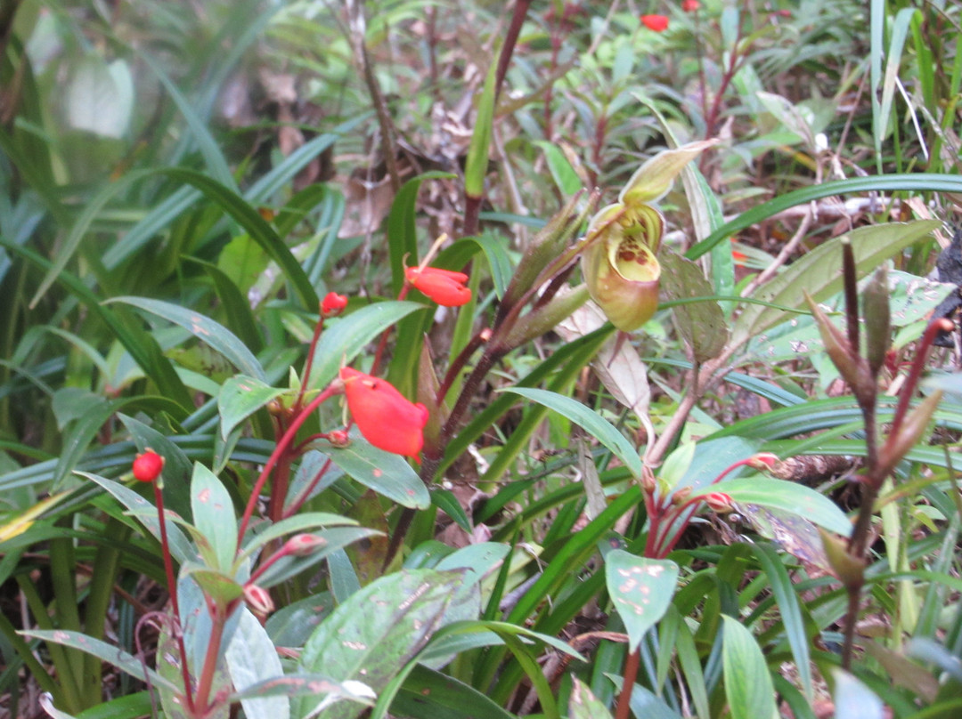 Refugio Los Volcanes主图