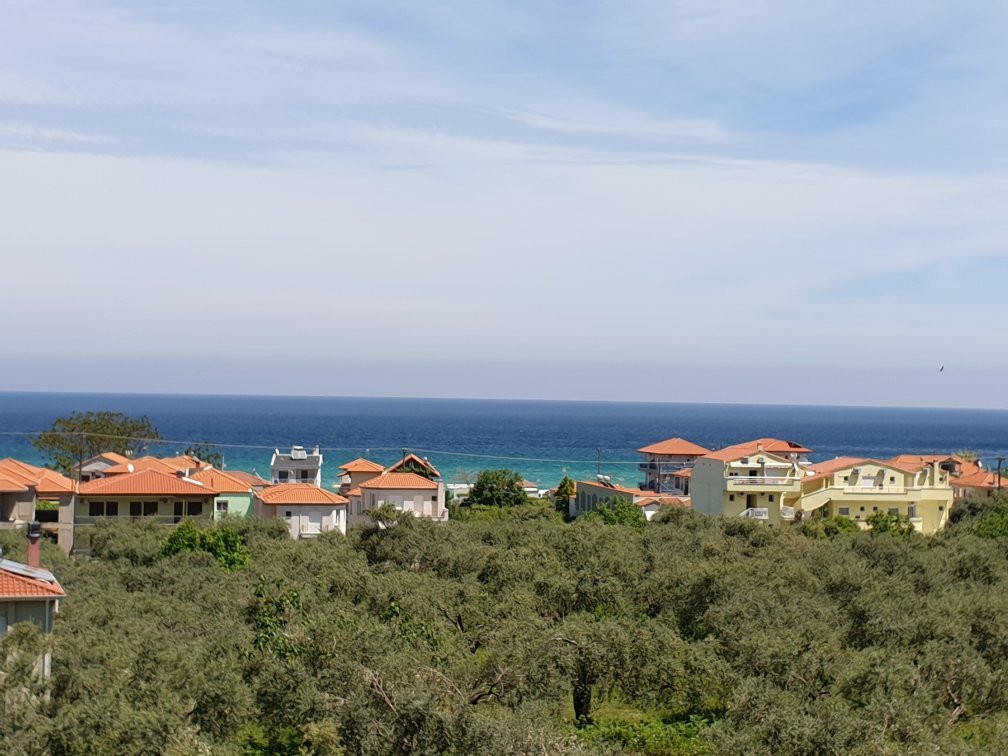 Ocean Beach Hotel主图