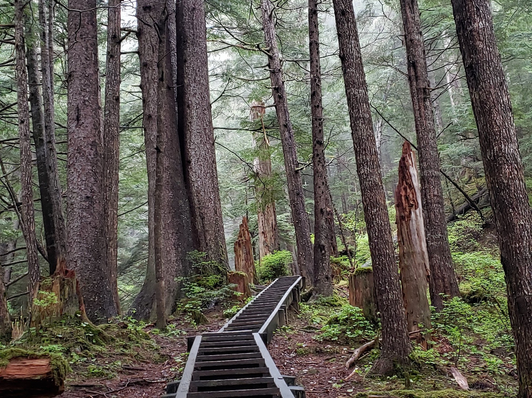 Harbor Mountain Trail-锡特卡必去景点