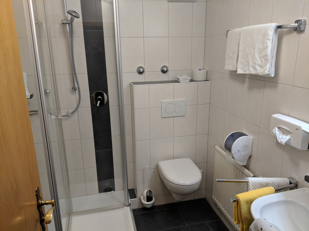 Hotel Gasthof Zur Rose主图