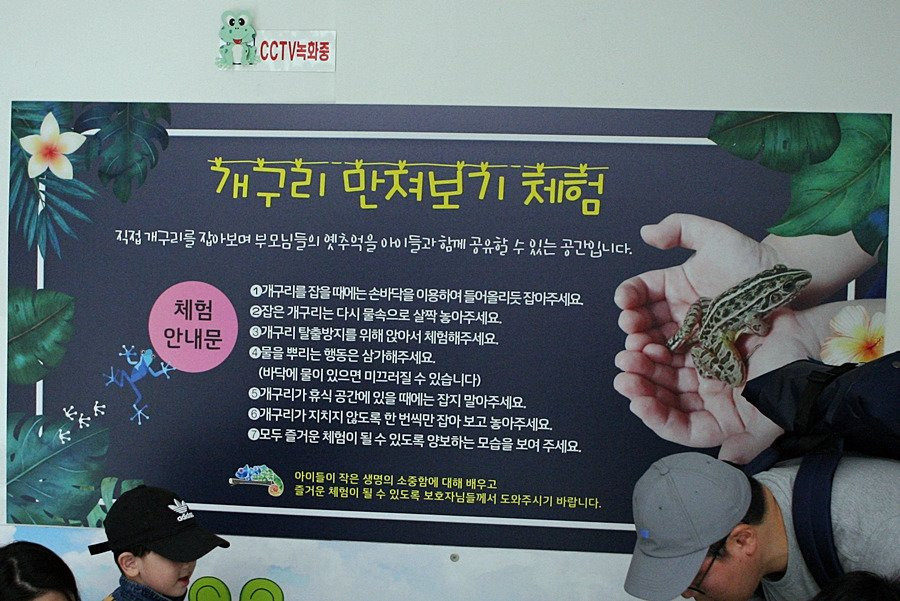 Hampyeong Herptile Eco Park-咸平郡必去景点