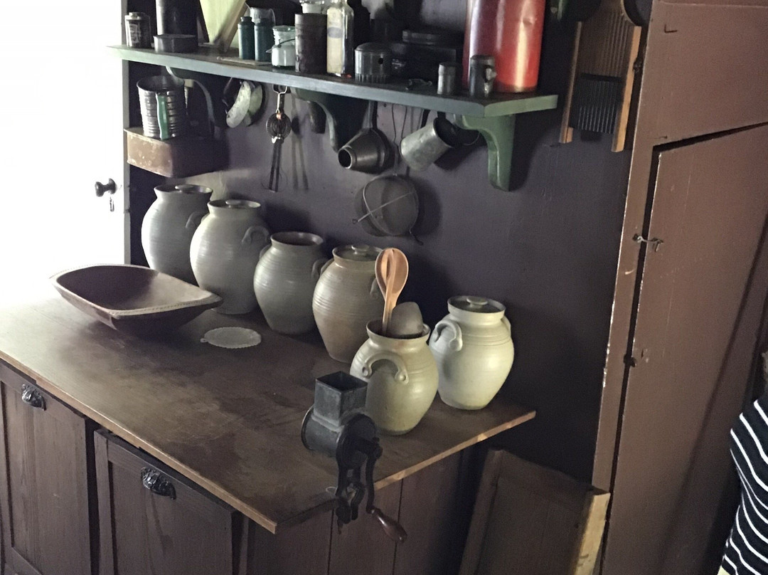Horne Creek Living Historical Farm景点图片