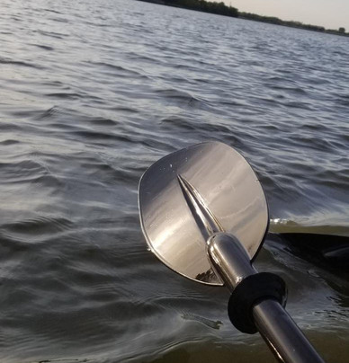 Ashton Tract Augustine Wildlife Area