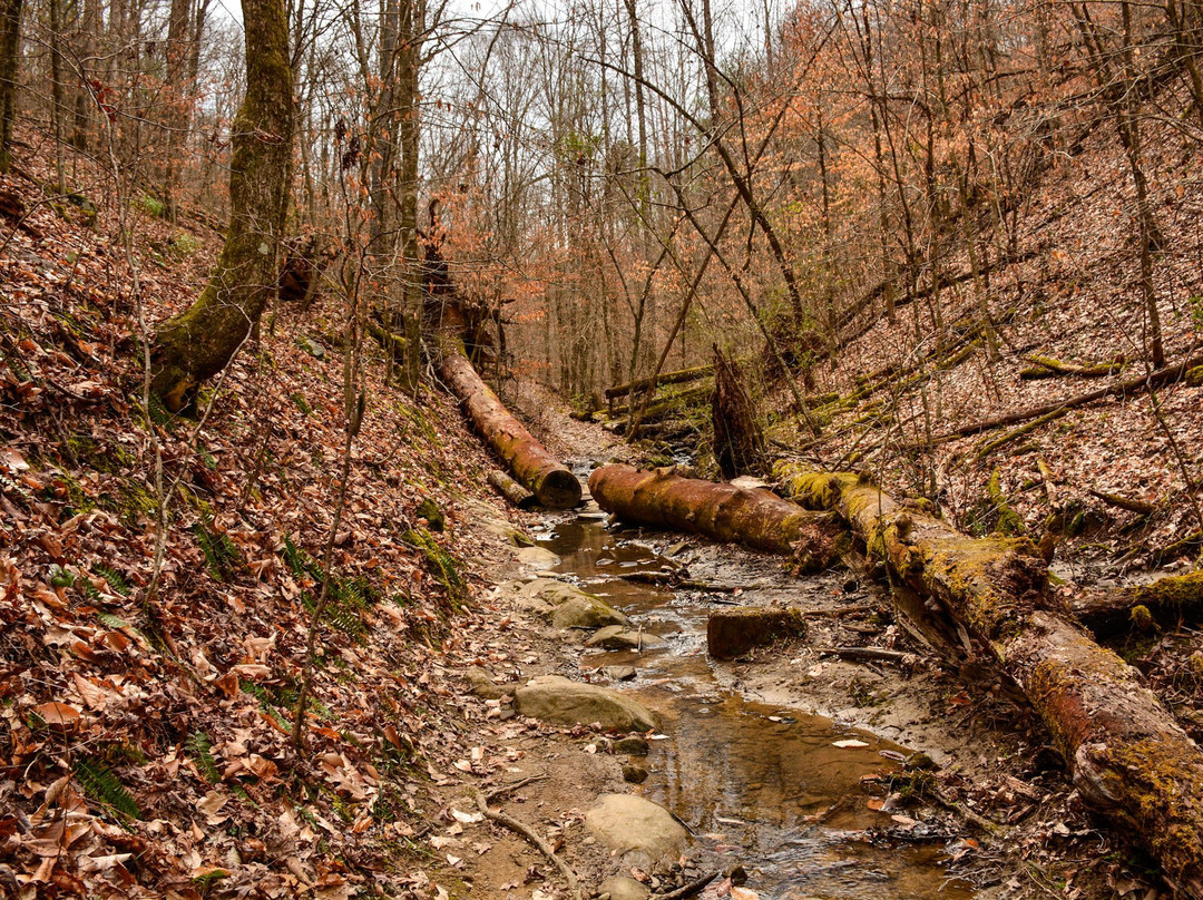 Steele Creek Park-布里斯托尔必去景点