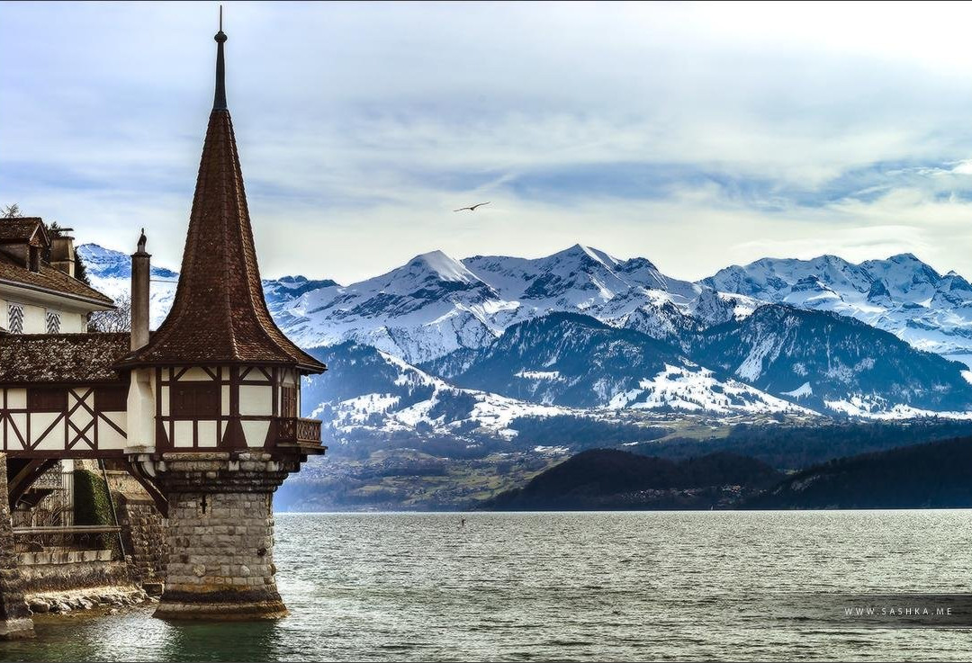 Black Forest Travel景点图片