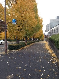 Shiomi-zaka Slope-Kasumigaseki必去景点
