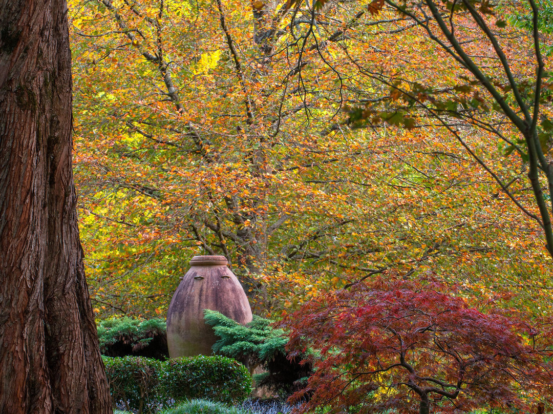 Windyridge Garden景点图片