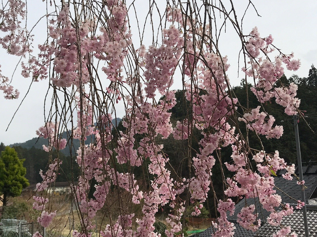 Ono Dam Park-南丹市必去景点