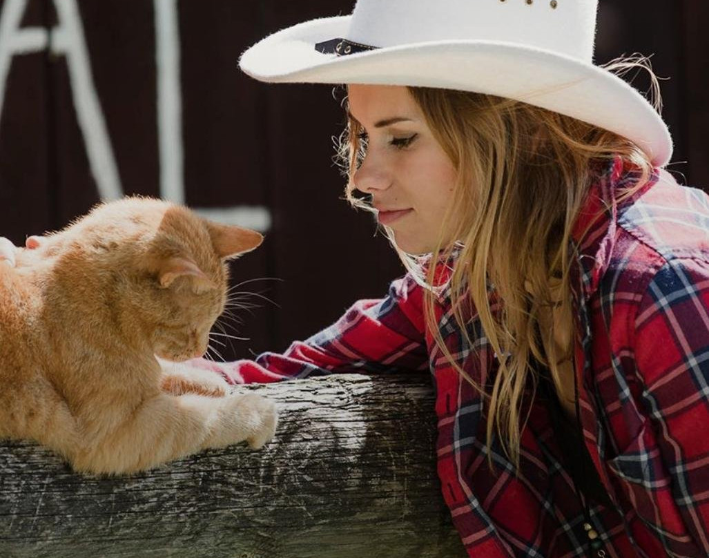 Estonian countryside day trips from Tallinn-塔林必去景点