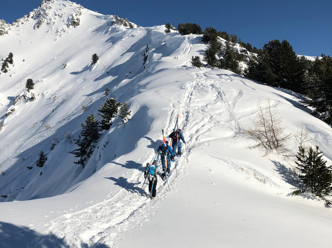 Alpinemojo Ski School-Nendaz必去景点