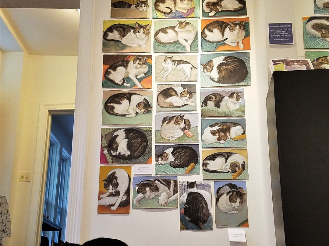 Wired Gallery-High Falls必去景点