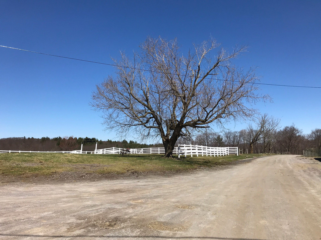 Pond Hill Ranch and Pro Rodeo-Castleton必去景点