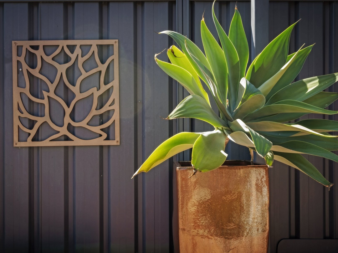 Beachmere Palms Motel主图