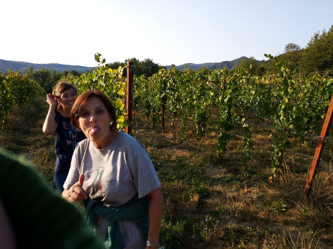 Ornina Winery景点图片