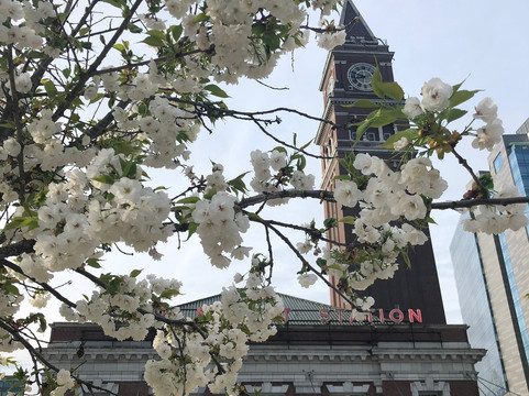 美国西雅图国际青年旅舍主图