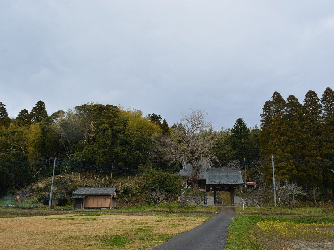 Mt. Tengokusan Nyoirinji Temple-茂原市必去景点