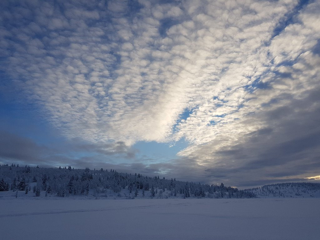 Xwander Nordic景点图片
