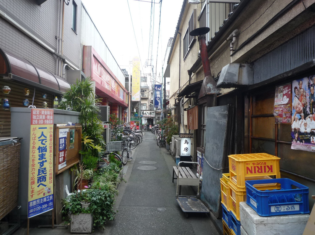 Tateishi Nakamise Shotengai-葛饰区必去景点