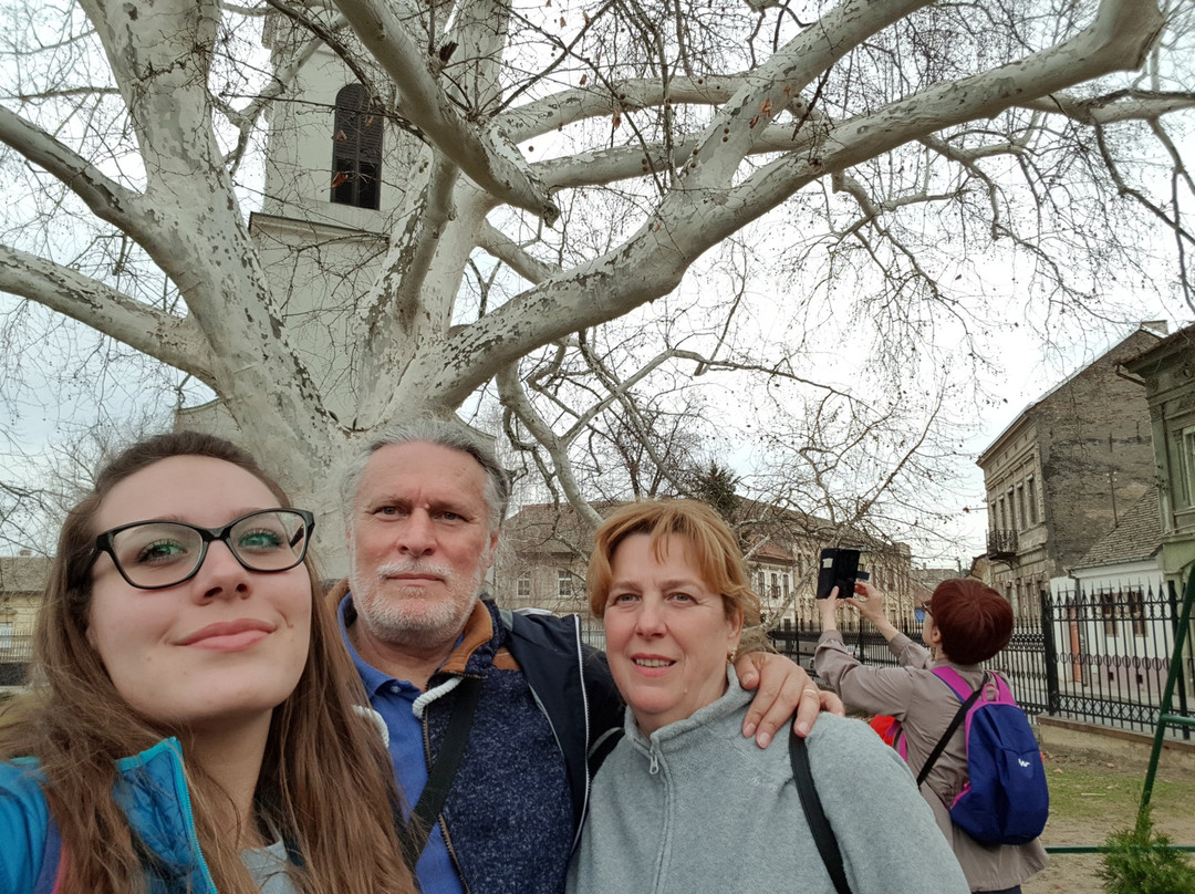 The Lower church from 1718-Sremski Karlovci必去景点