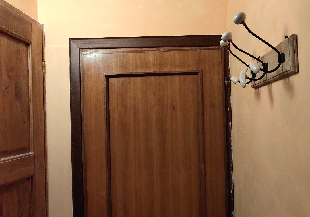 Fiocco di Neve主图