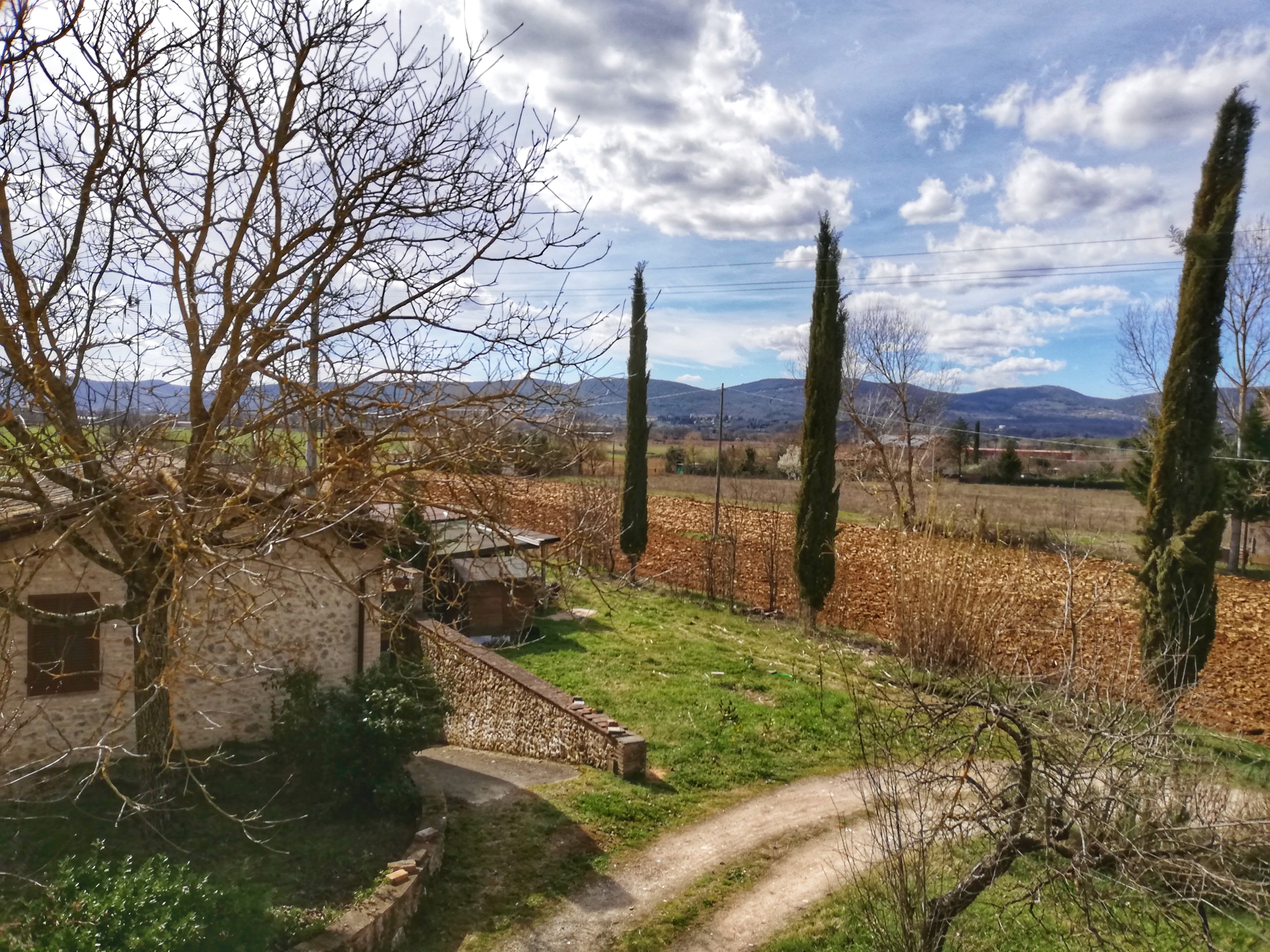 Agriturismo Santa Giuditta-酒店景观